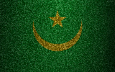 Flag of Mauritania 4k