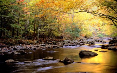 Great Smoky Mountains National Park HD Free 5K Wallpaper Download