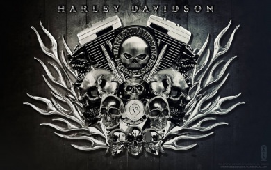 Harley Davidson 4K HD
