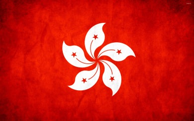 Hong Kong Flag 3D