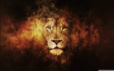 Lion Wallpapers Download
