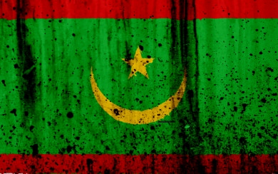 Mauritania Flag New 3D