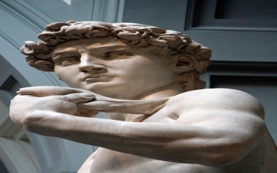 Michelangelo David Phone HD 4K Android Mobile