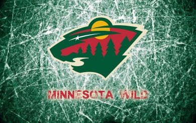 Minnesota Wild 2014 Logo