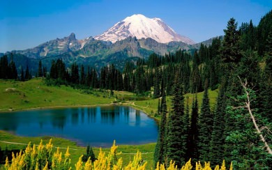 Mount Rainier National Park Wallpaper 4K HD Free Download