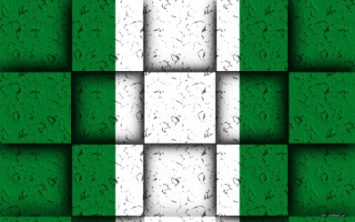 Nigeria Flag 3D