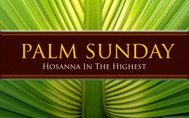 Palm Sunday 4K HD Free Download