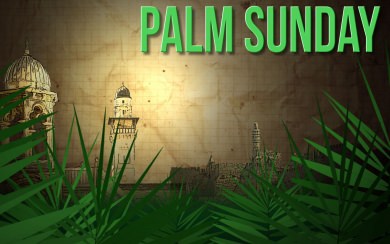 Palm Sunday iPhone X HD 4K Android Mobile Free Download 2020