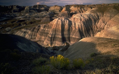 Petrified Forest National Park Download 4K HD