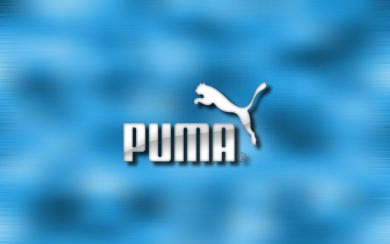 Puma 8K HD 2020 iPhone PC Photos Pictures Backgrounds Download