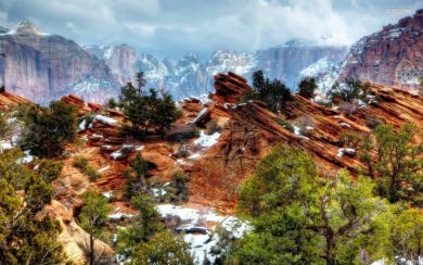 Small River Stream In Zion National Park Hd 4K HD Mobile PC Download