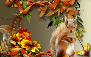 Squirrel 4K Free Wallpaper Free Download 2020