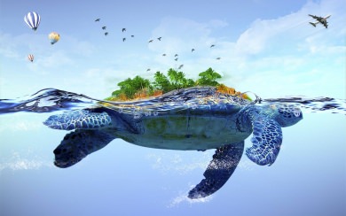 Turtle iPhone Full HD 5K 2560x1440 Download For Mobile PC