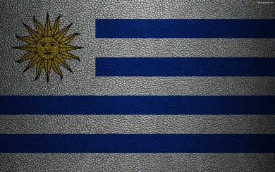Uruguay Flag 4K 2020