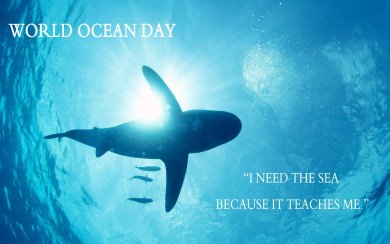 World Oceans Day HD 4K Photos 2020