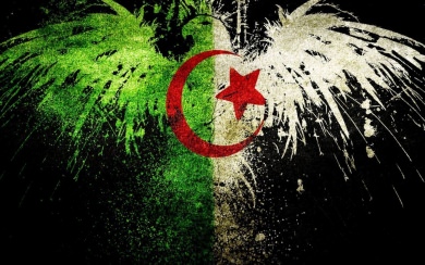 Algeria Flag Free HD Wallpaper In 4K 5K