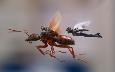 Ant Man And The Wasp Ultra HD in 4K For Mobile PC