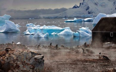 Antarctica Images 2560x1440 Free Download In 5K HD