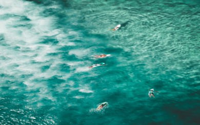 Bondi Beach 4K HD Wallpaper Photo Gallery