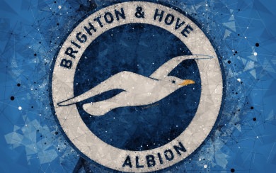 Brighton And Hove Albion 1080p iPhone Download 5K Ultra HD 2020