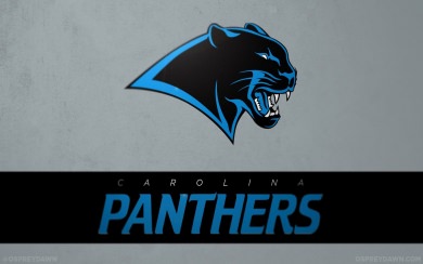 Carolina Panthers Wallpapers For Android Free Download In 5K HD