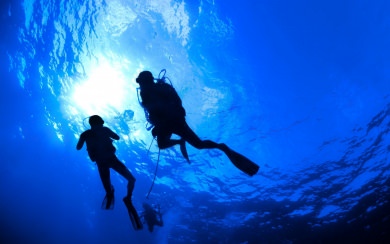 Diving 4K HD Wallpaper Photo Gallery