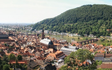 Heidelberg Castle 5K HD Mobile iPhone PC