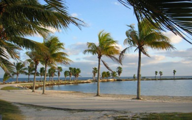 Miami Beach 5K HD 2048x1152 Free Download