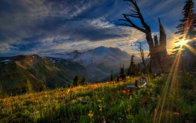 Mount Rainier National Park 4K HD 3840x2160 Wallpaper Photo Gallery Free Download