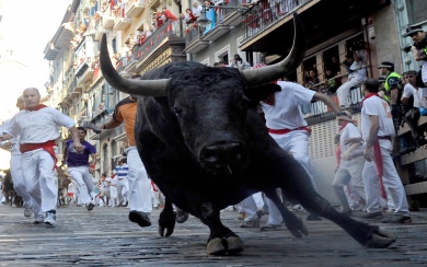 Running Of The Bulls 6K Pictures Free Download