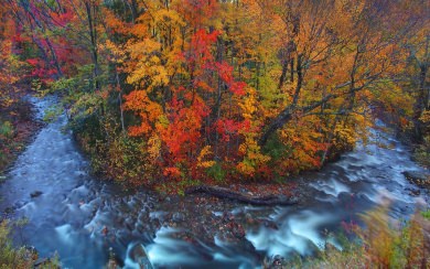 Vermont Fall 5K Full HD For iPhoneX Mobile
