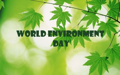 World Environment Day 1920x1080 4K HD For iPhone Android
