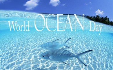 World Ocean Day 1920x1080 4K HD For iPhone Android