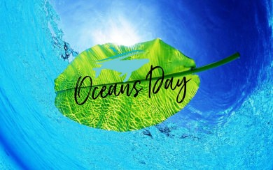 World Oceans Day Images 2560x1440 Free Download In 5K HD