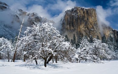 Yosemite National Park Weather Free HD 4K Free To Download
