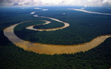 Amazon River Wallpaper Download Widescreen Best Live Download Photos Backgrounds
