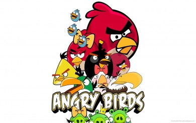 Angry Birds 4k Wallpaper For iPhone 11 MackBook Laptops