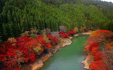 Arashiyama 3000x2000 Best Free New Images Photos Pictures Backgrounds