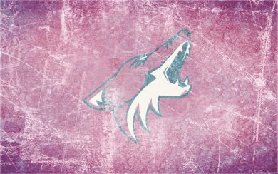 Arizona Coyotes 8k iPhone Wallpapers - Top Free 8K iPhone Backgrounds