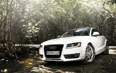 Audi A5 4K 8K HD Display Pictures Backgrounds Images