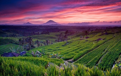 Bali HD 1080p Free Download For Mobile Phones