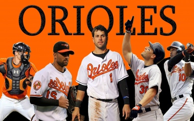 Baltimore Orioles WhatsApp DP Background For Phones