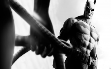 Batman Arkham City Gameplay 3D HD