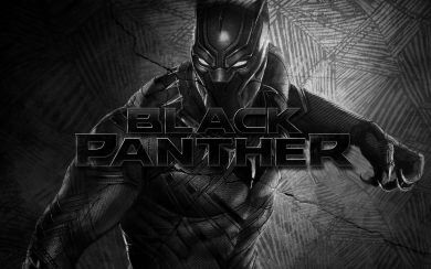 Black Panther 4K HD 2020
