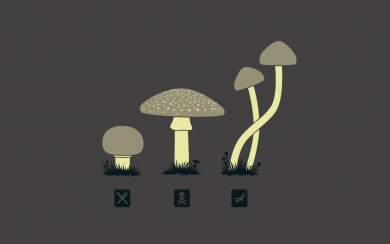 Blue Mushrooms 4k Wallpaper For iPhone 11 MackBook Laptops