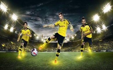 Borussia Dortmund HD Wallpaper for Mobile 2560x1440