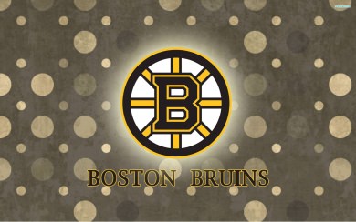 Boston Bruins Wallpapers For Phone 4K 8K HD 2560x1600 Mobile Download