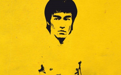 Download Bruce Lee iPhone Wallpapers Wallpaper 