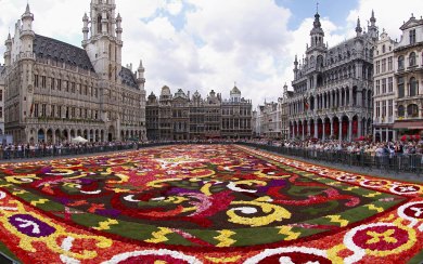 Brussels Street 4K 5K 8K HD Display Pictures Backgrounds Images For WhatsApp Mobile PC