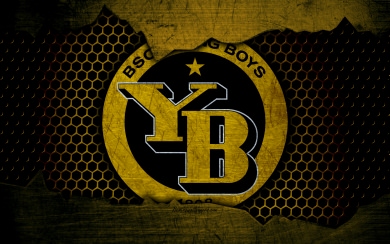 BSC Young Boys 4K 5K 8K Backgrounds For Desktop And Mobile